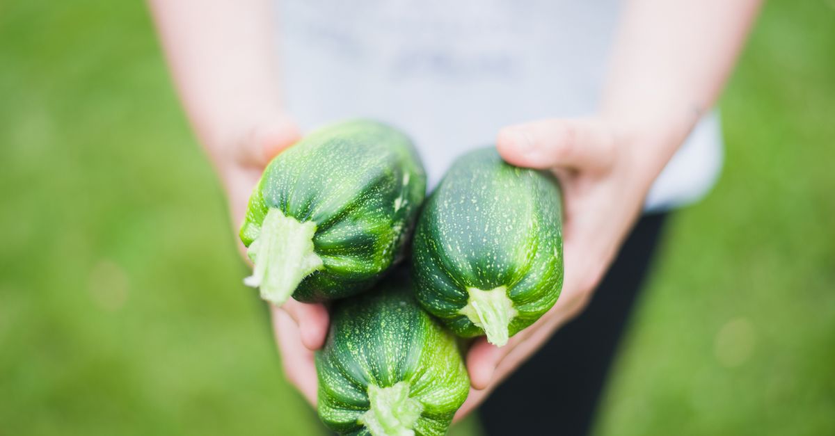 découvrez des conseils et informations essentiels sur la nutrition pour améliorer votre santé et votre bien-être au quotidien.