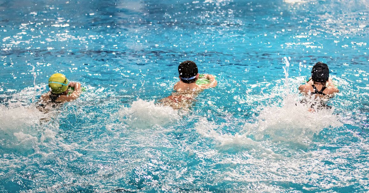découvrez nos programmes d'entraînement de natation pour tous les niveaux, améliorez votre technique et votre endurance en piscine.