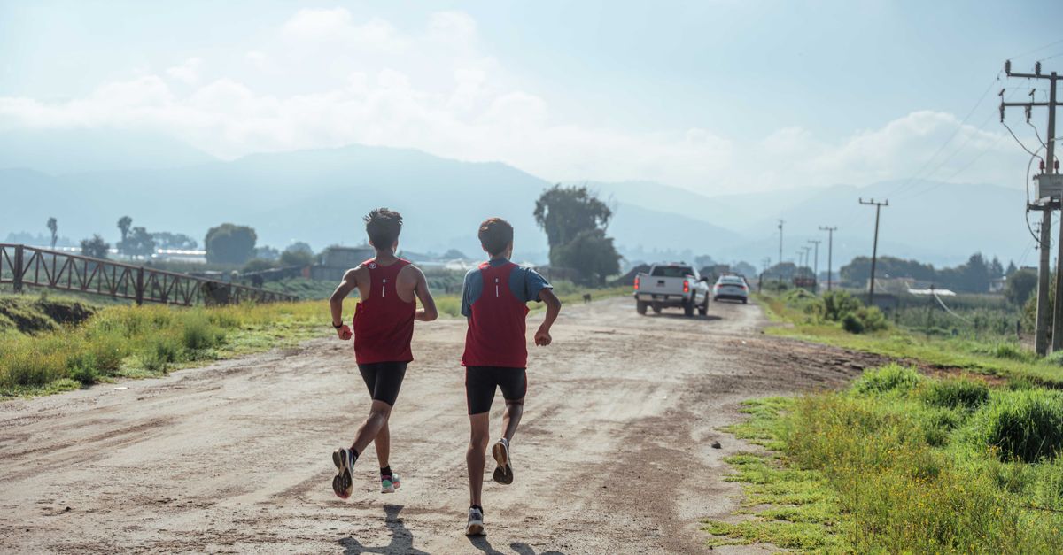 découvrez tout sur le running : conseils, entraînements, équipements et bienfaits pour améliorer votre performance et votre santé.